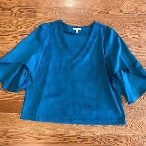 Anna Cate Nina velvet top